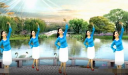 广场舞视频大全免费下载,舞动健康，乐享生活